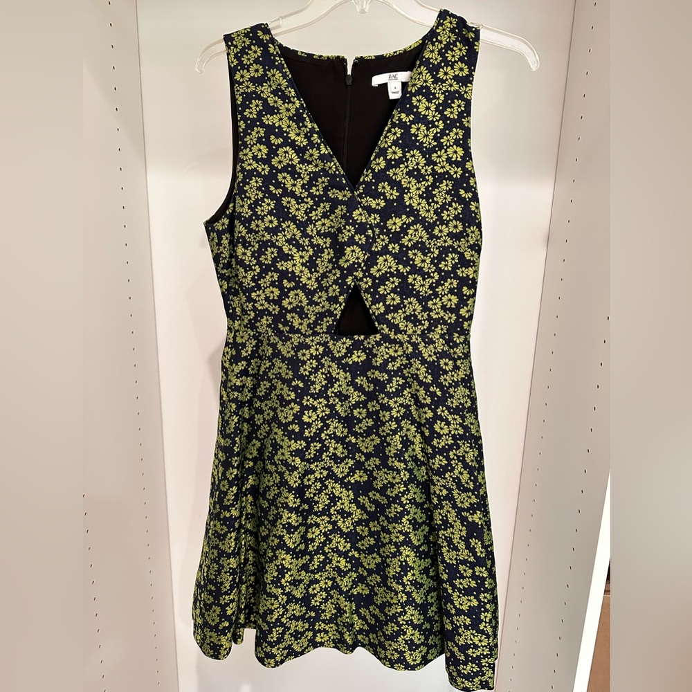 ZAC Zac Posen Chantal Printed Flare Dress